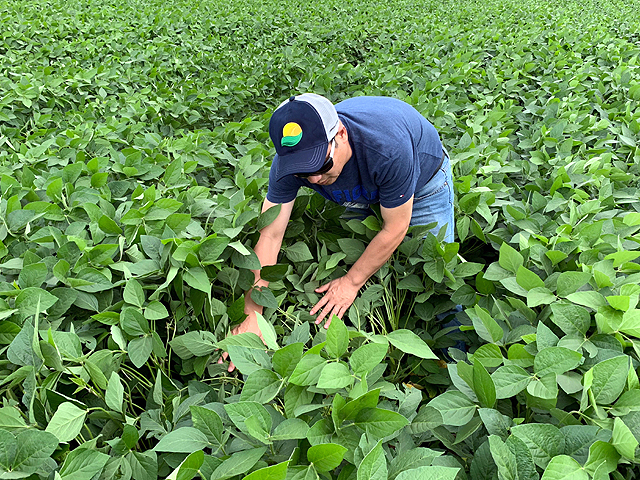 Equipe da Mega Adubos em campo analisando plantação
